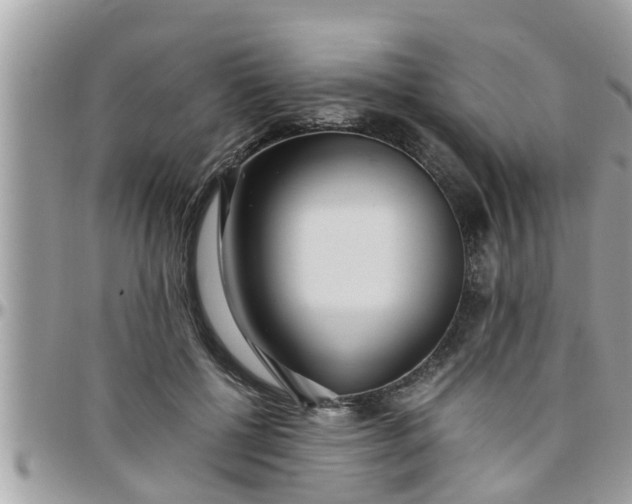 X0000097760552200803211716