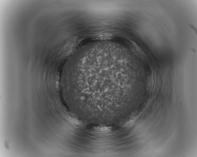 X0000097760553200803211716