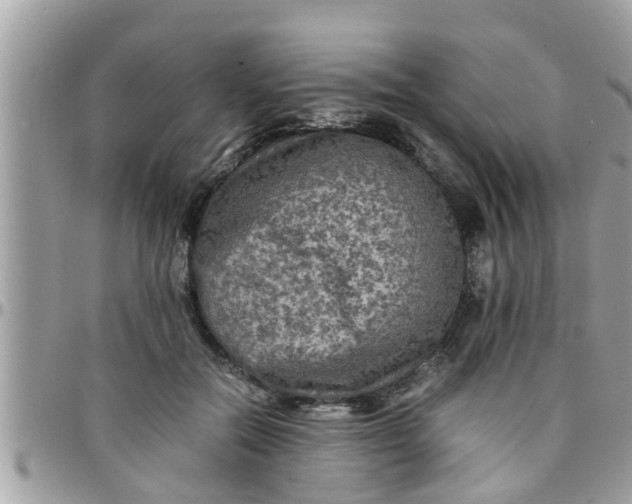 X0000097760554200803211716