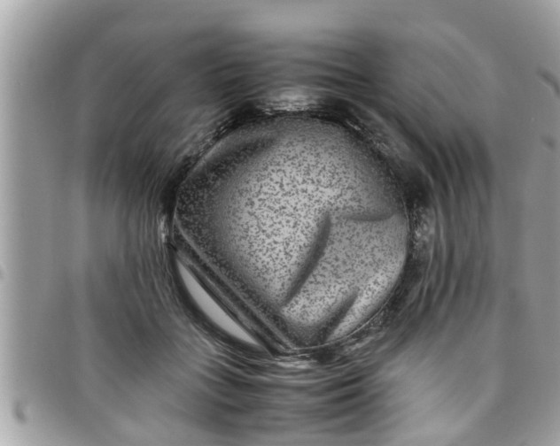 X0000097760555200803211716