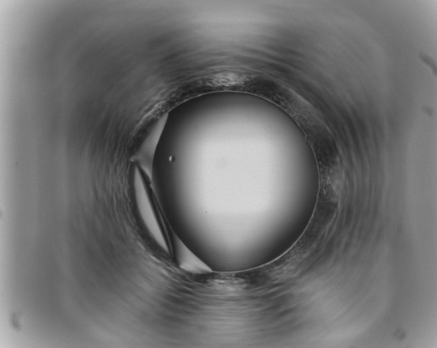 X0000097760556200803211716