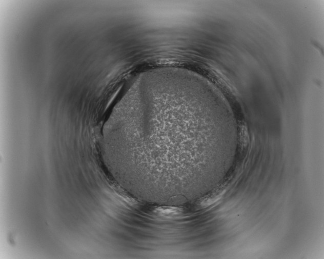 X0000097760557200803211716