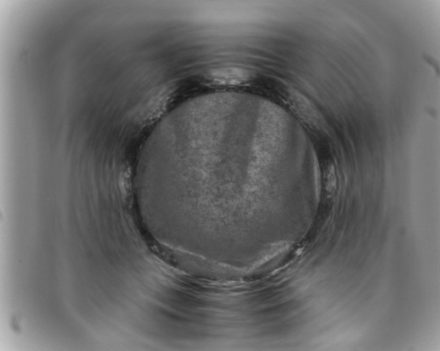 X0000097760559200803211716