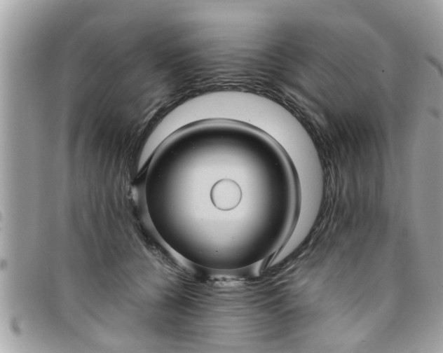 X0000097760560200803211716