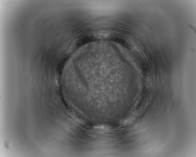 X0000097760561200803211716