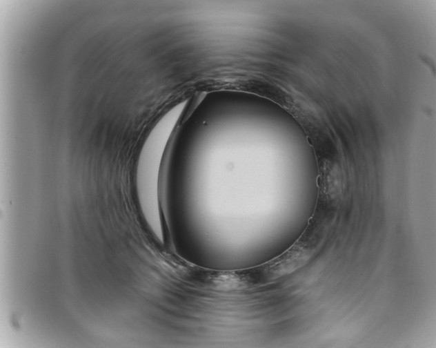 X0000097760562200803211716