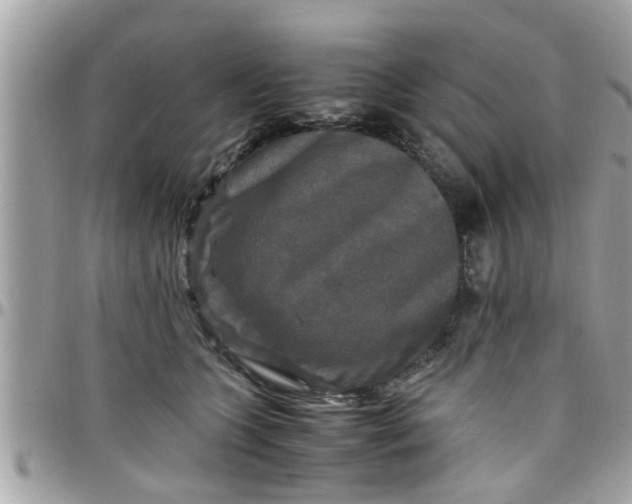 X0000097760563200803211716