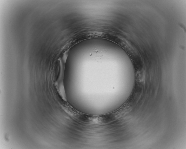 X0000097760564200803211716