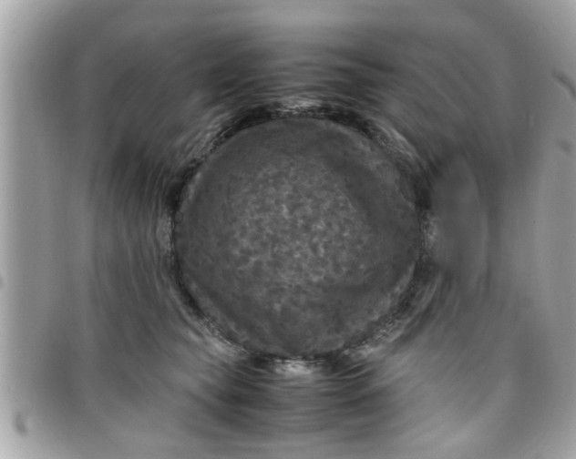 X0000097760565200803211716