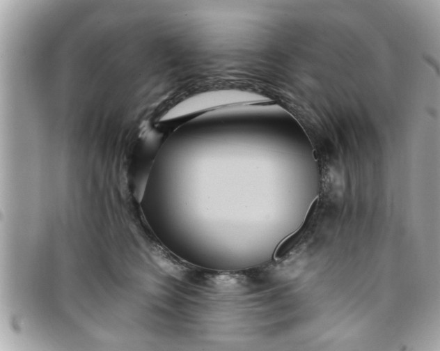 X0000097760566200803211717