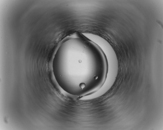 X0000097760568200803211717