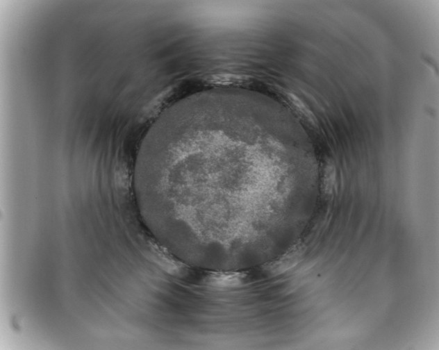 X0000097760569200803211717