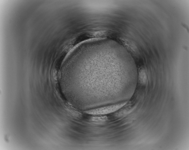 X0000097760571200803211717