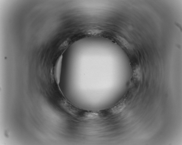 X0000097760572200803211717