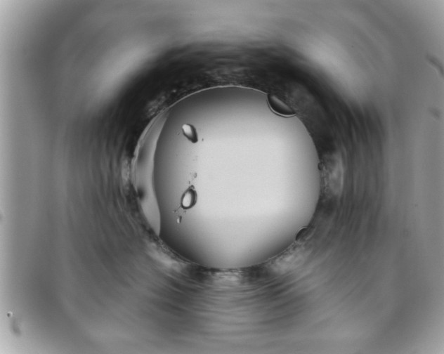 X0000097760574200803211717