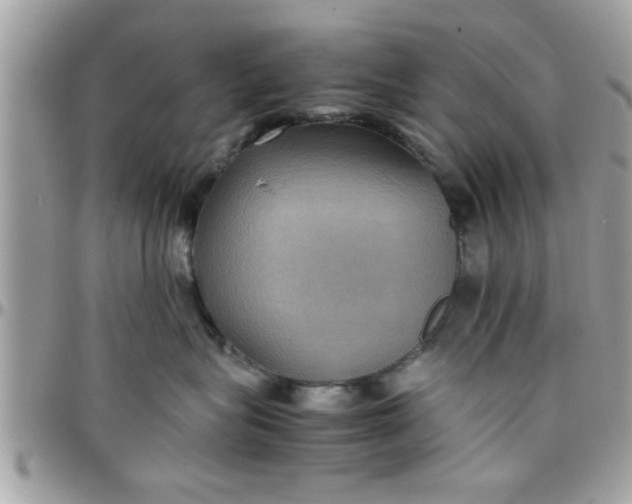 X0000097760575200803211717