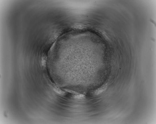 X0000097760576200803211717