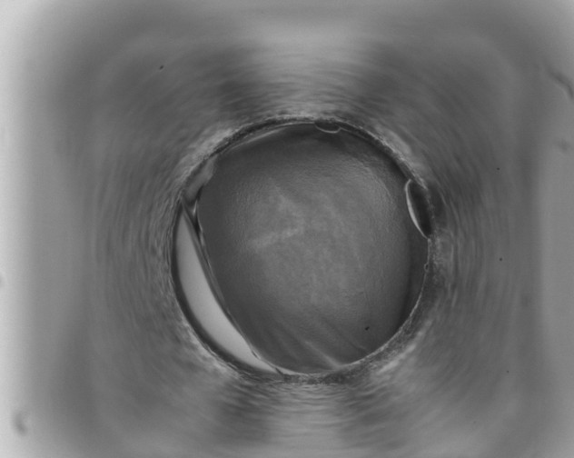 X0000097760577200803211716