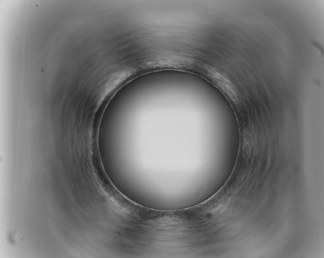 X0000097760578200803211716