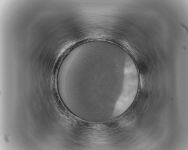 X0000097760579200803211716