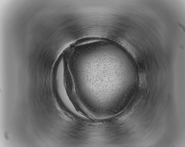 X0000097760580200803211716