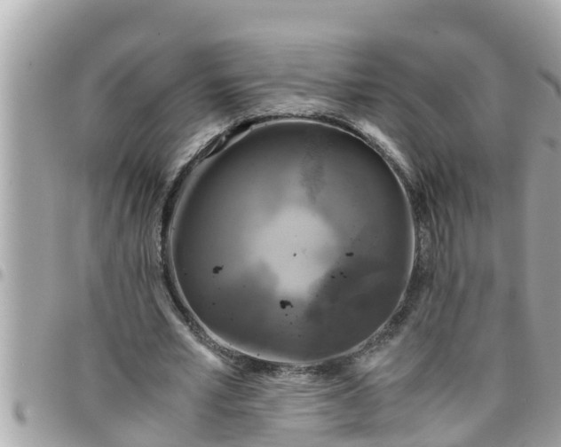 X0000097760581200803211716