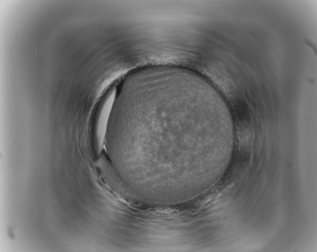 X0000097760583200803211716