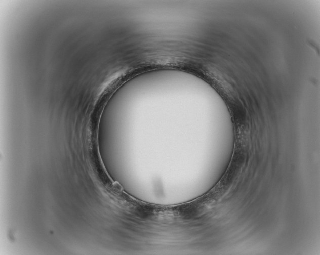 X0000097760587200803211716