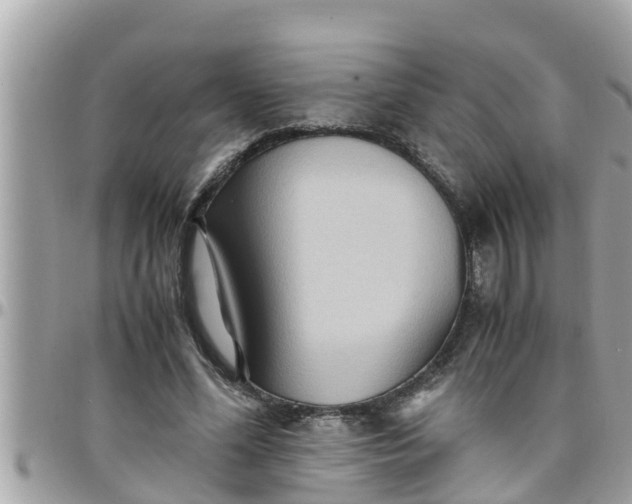 X0000097760588200803211716