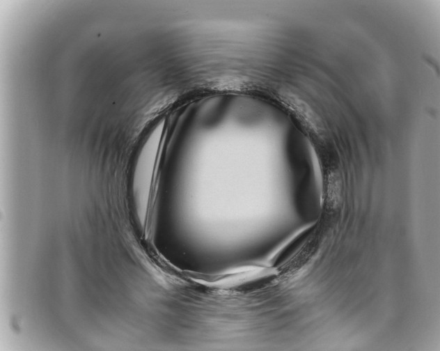 X0000097760589200803211716