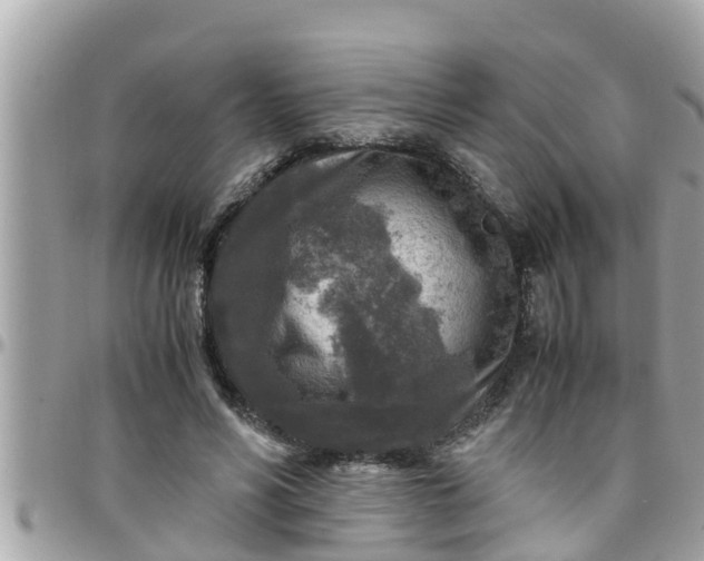 X0000097760590200803211716