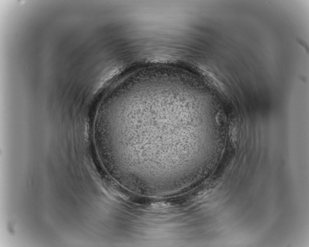 X0000097760591200803211716