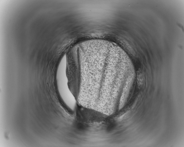 X0000097760593200803211716