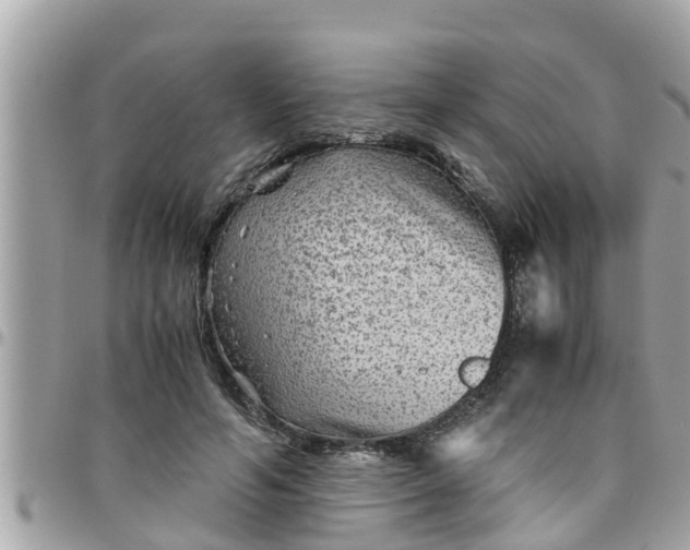 X0000097760594200803211716