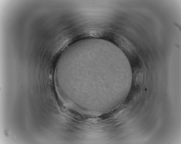 X0000097760595200803211716