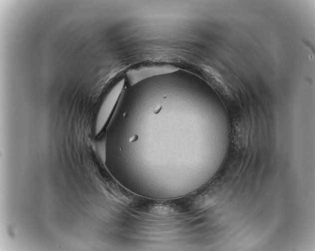 X0000097760596200803211716