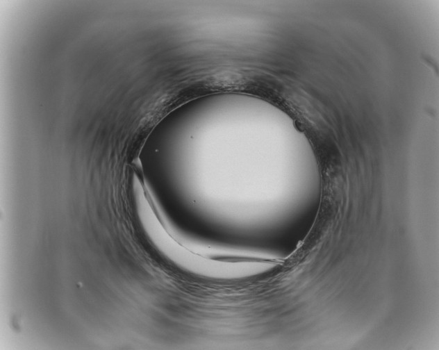 X0000097760597200803211716