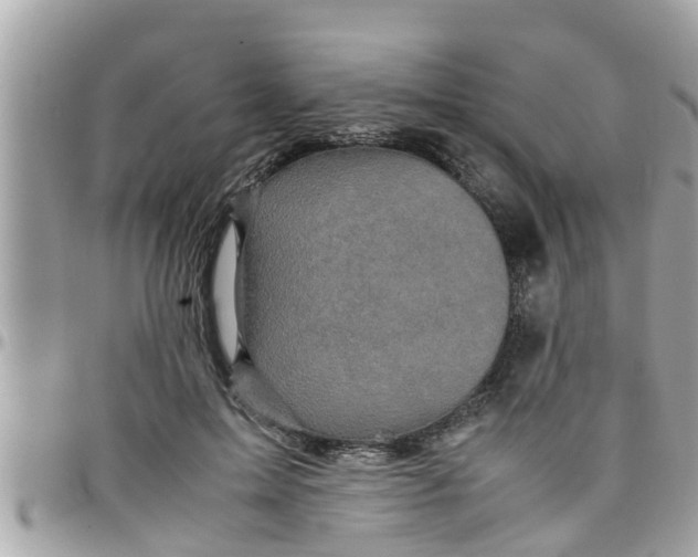 X0000097760599200803211716