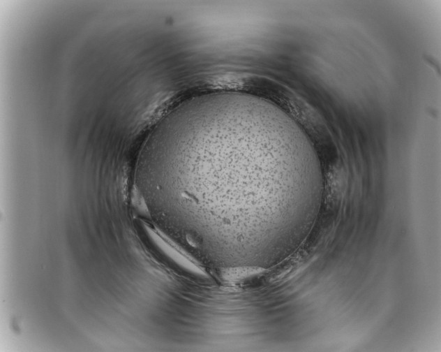 X0000097760600200803211716