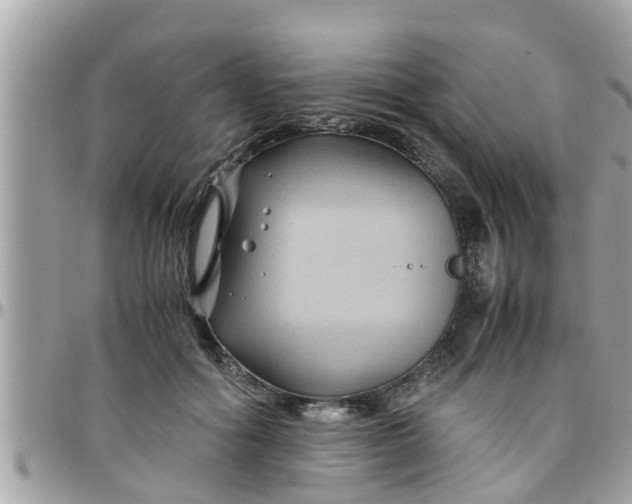 X0000097760602200803211716