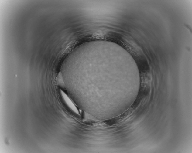 X0000097760603200803211716