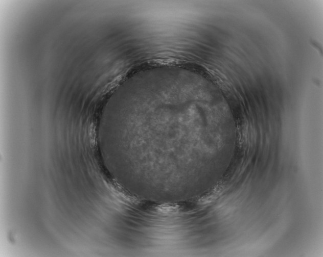 X0000097760606200803211716