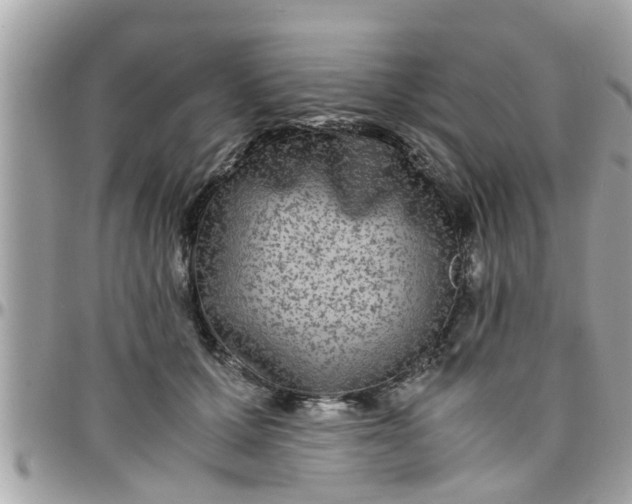 X0000097760607200803211716