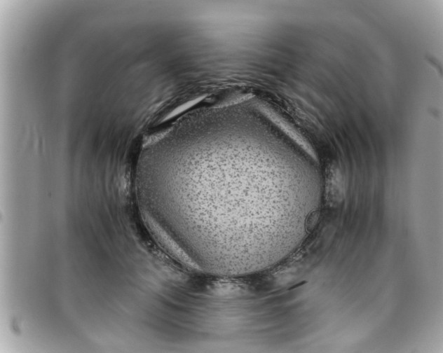 X0000097760608200803211716