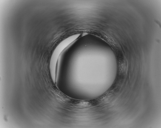 X0000097760609200803211716