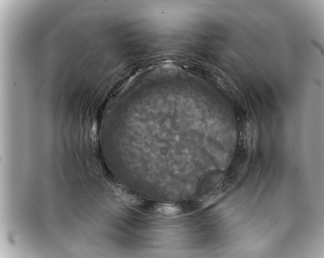 X0000097760610200803211716