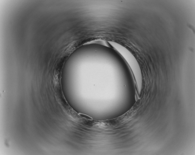 X0000097760611200803211716