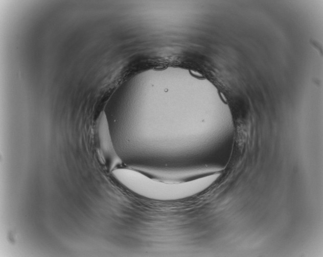 X0000097760613200803211715