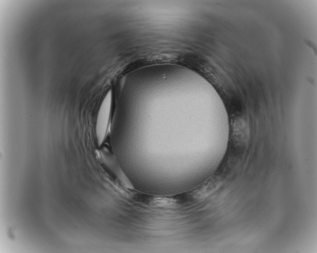 X0000097760617200803211715