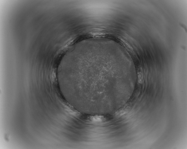 X0000097760618200803211715